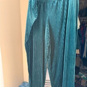Terra & Sky Teal Wide Leg Pleated Pants